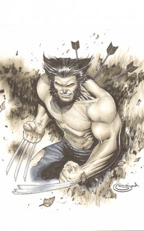 Wolverine :